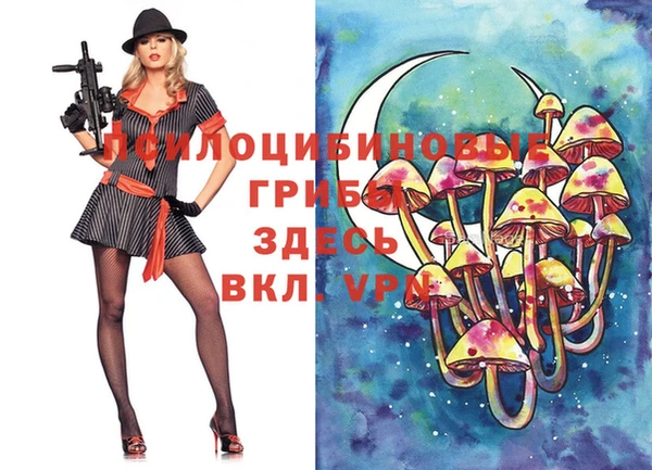 прущие крисы Заводоуковск