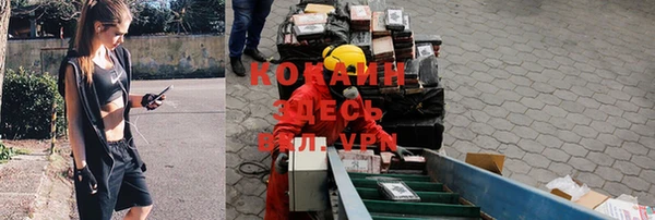 прущие крисы Заводоуковск