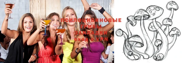 прущие крисы Заводоуковск