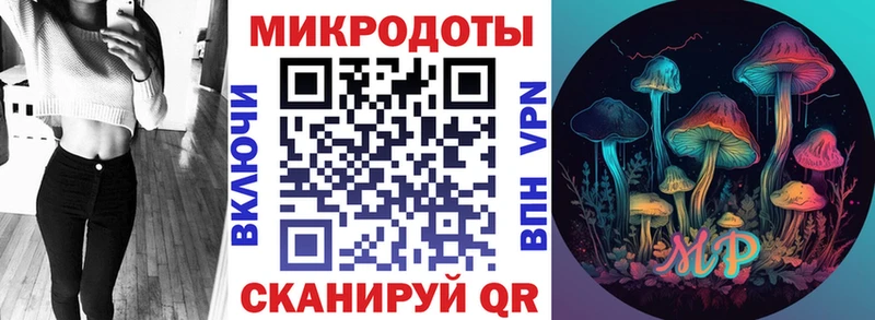 Купить закладки  Ирбит  Псилоцибиновые грибы мицелий 